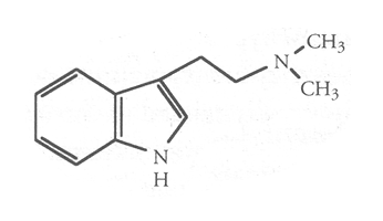 DMT-Molekuel